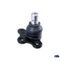 Pivo-Suspensao-Citroen-C3-2002-a-2013-Manual-Dianteiro-Inferior-Esquerdo-Motorista-Cofap---1428329