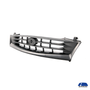 grade-radiador-ford-fiesta-street-2001-a-2007-preto-fipparts---1338999