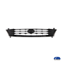 grade-radiador-ford-fiesta-street-2001-a-2007-preto-fipparts---1338999