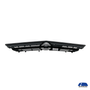 grade-radiador-astra-2003-a-2011-preto-fipparts---1343174